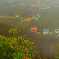 Altınordu Delikkaya Köyü Resimleri 4