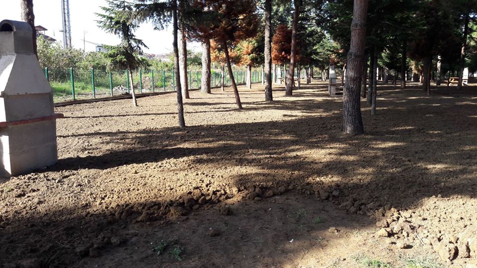 Altınordu Durugöl Köyü Resimleri 1