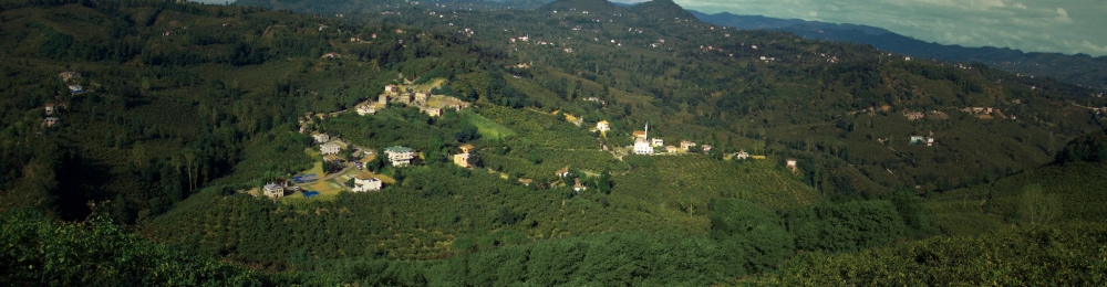 Altınordu Düzköy Köyü Resimleri 1