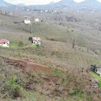 Altınordu Düzköy Köyü Resimleri 10