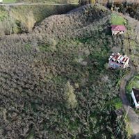 Altınordu Düzköy Köyü Resimleri 11