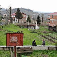 Altınordu Düzköy Köyü Resimleri 14