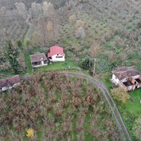 Altınordu Düzköy Köyü Resimleri 15