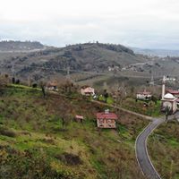 Altınordu Düzköy Köyü Resimleri 16