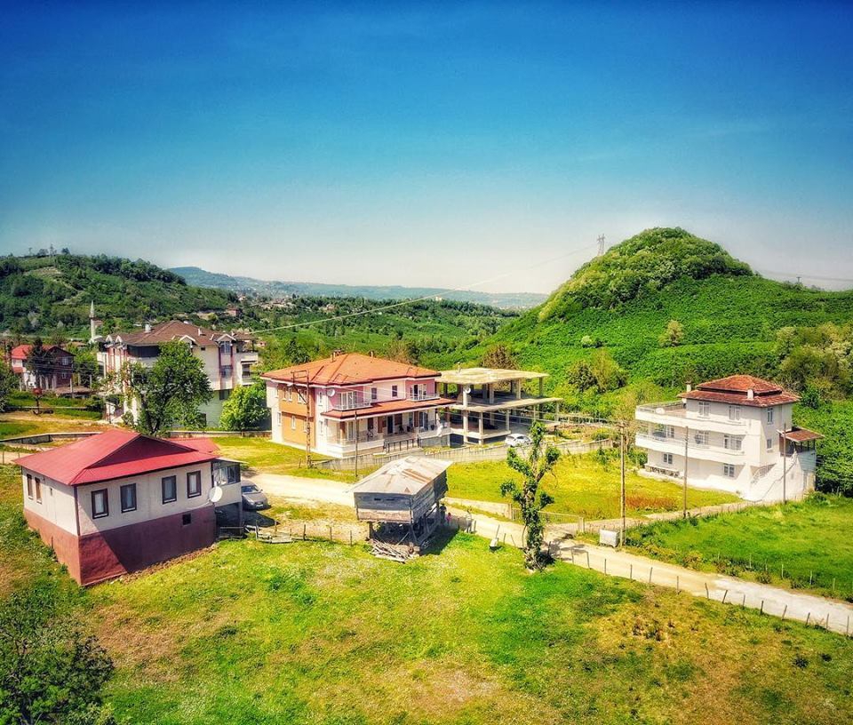 Altınordu Düzköy Köyü Resimleri 4