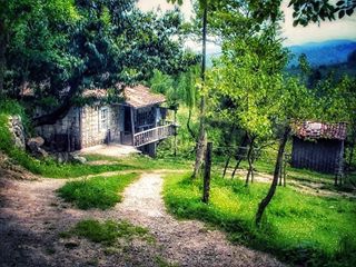 Altınordu Düzköy Köyü Resimleri 6