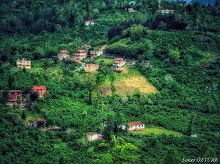 Altınordu Düzköy Köyü Resimleri 8