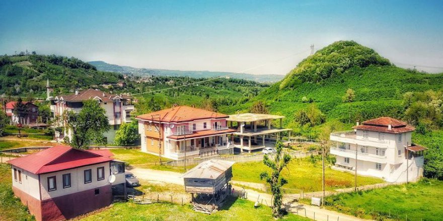 Altınordu Düzköy Köyü Resimleri