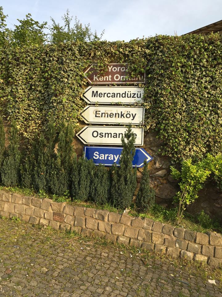 Altınordu Emenköy Köyü Resimleri 1