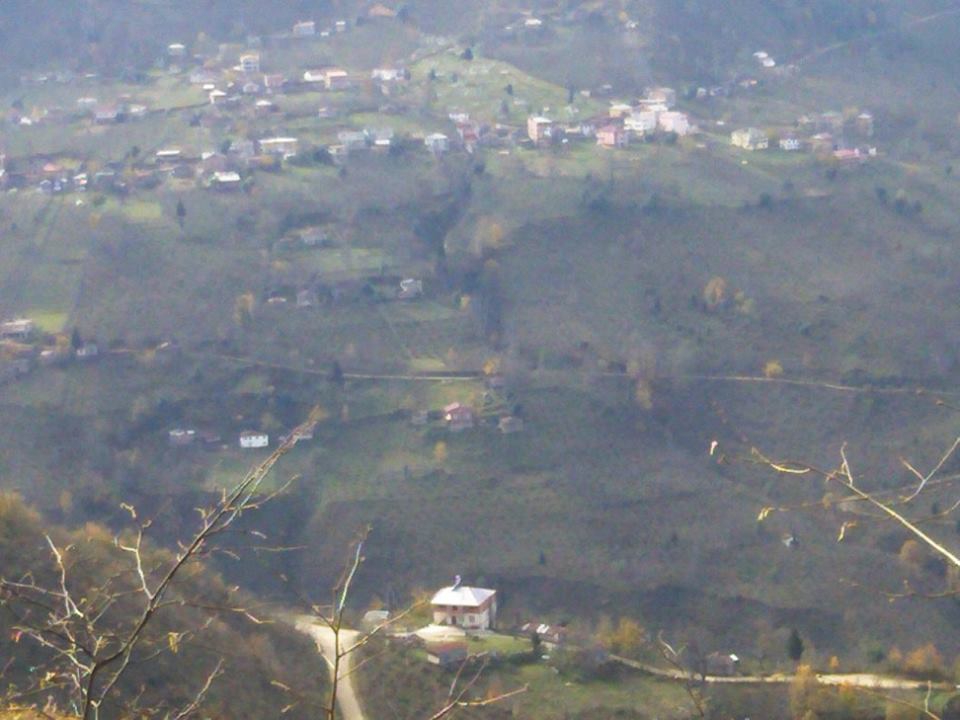 Altınordu Erenli Köyü Resimleri 1