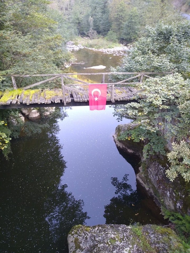 Altınordu Erenli Köyü Resimleri 11