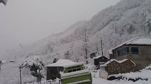 Altınordu Erenli Köyü Resimleri 2