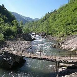 Altınordu Erenli Köyü Resimleri 3