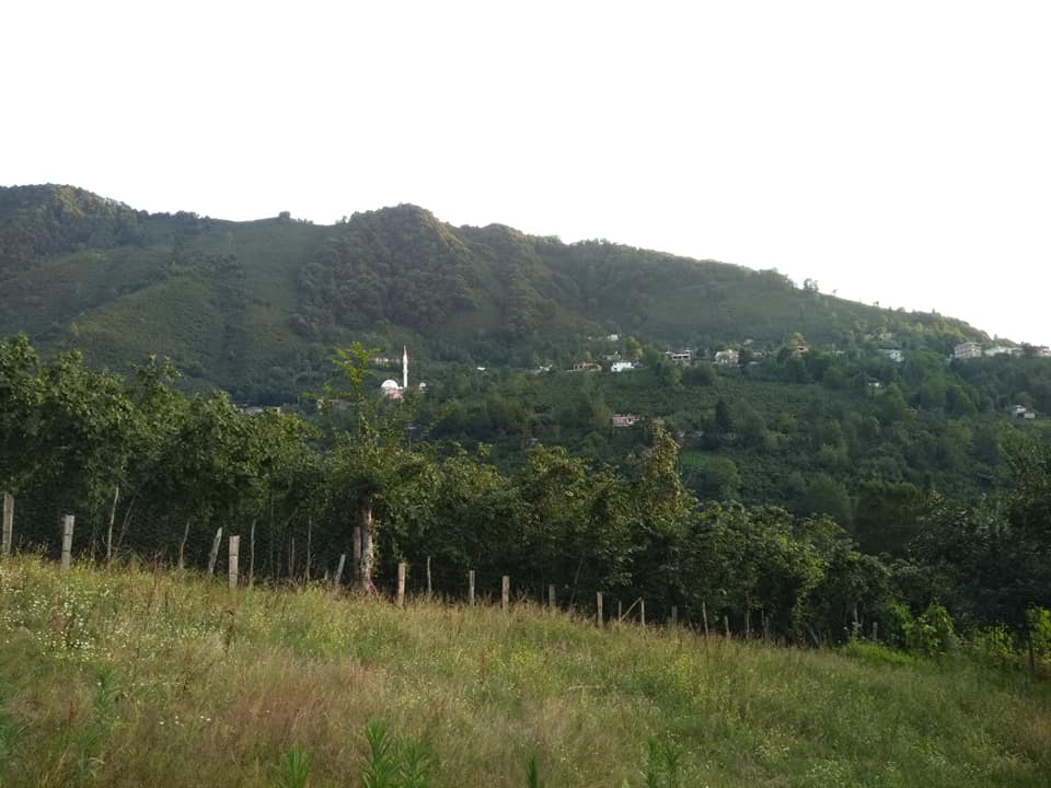 Altınordu Erenli Köyü Resimleri 5