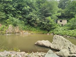 Altınordu Erenli Köyü Resimleri 7