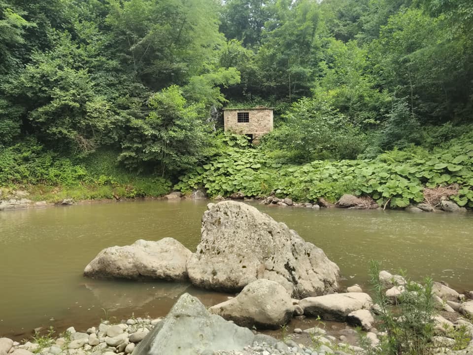 Altınordu Erenli Köyü Resimleri 8