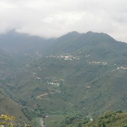 Altınordu Erenli Köyü Resimleri 9