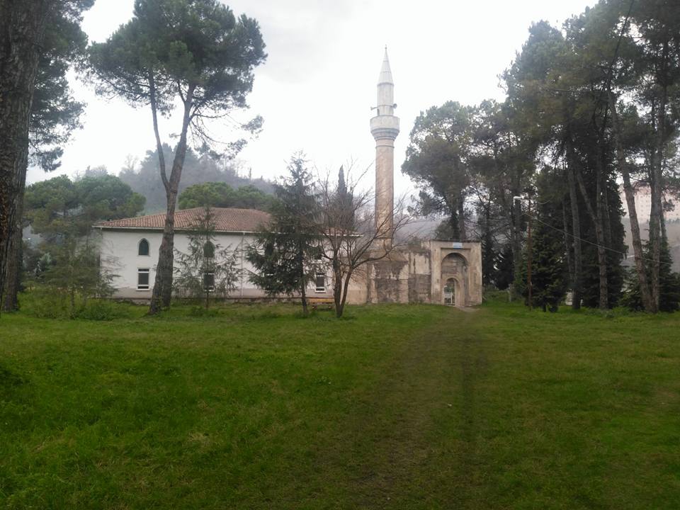 Altınordu Eskipazar Köyü Resimleri 1