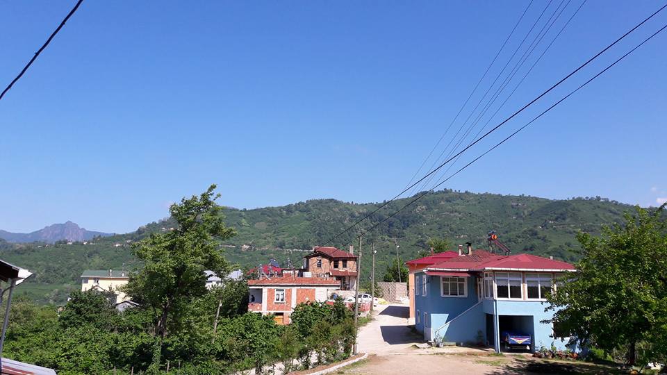 Altınordu Eyüplü Köyü Resimleri 2