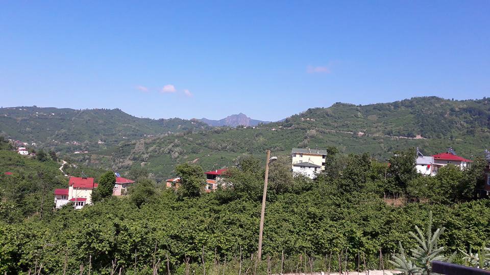 Altınordu Eyüplü Köyü Resimleri 3