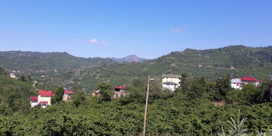 Altınordu Eyüplü Köyü Resimleri