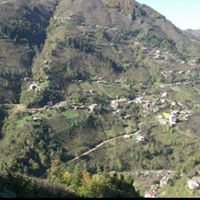 Altınordu Gerce Köyü Resimleri 7