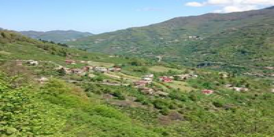 Altınordu Gerce Köyü Resimleri