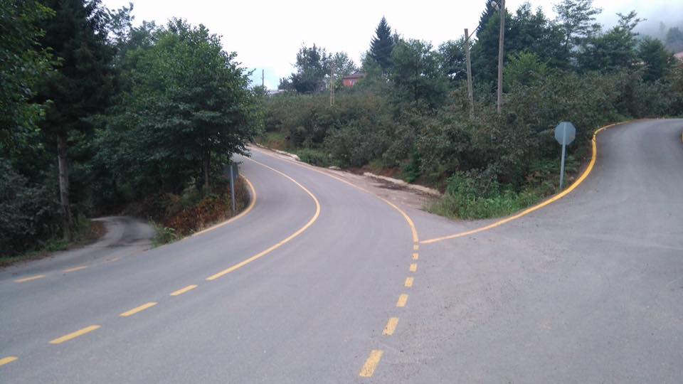 Altınordu Gökömer Köyü Resimleri 2