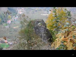 Altınordu Gökömer Köyü Resimleri 5