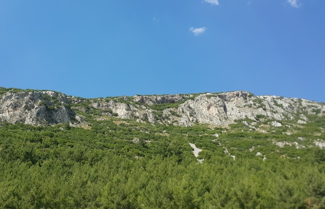 Menteşe Karamehmet Köyü Resimleri 7