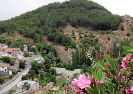 Menteşe Orta Köyü Resimleri 11