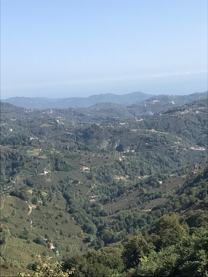 Altınordu Günören Köyü Resimleri 1