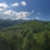 Altınordu Günören Köyü Resimleri 8