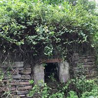 Altınordu Günören Köyü Resimleri 9