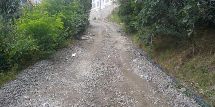 Altınordu Güzelyalı Köyü Resimleri