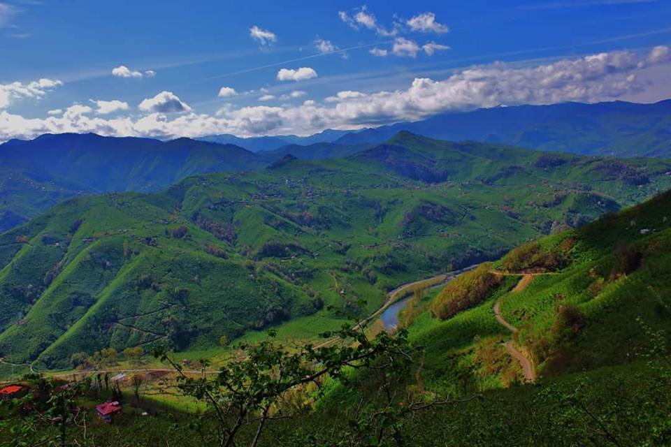 Altınordu Hacılar Köyü Resimleri 1