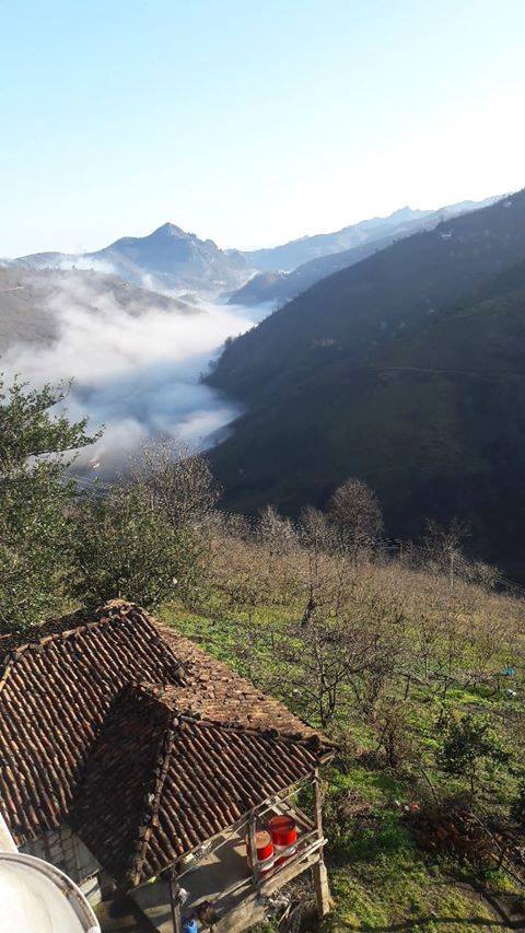 Altınordu Hacılar Köyü Resimleri 3