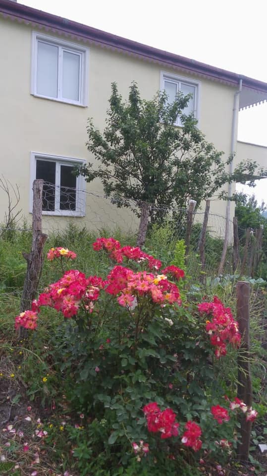 Altınordu Hacılar Köyü Resimleri 5