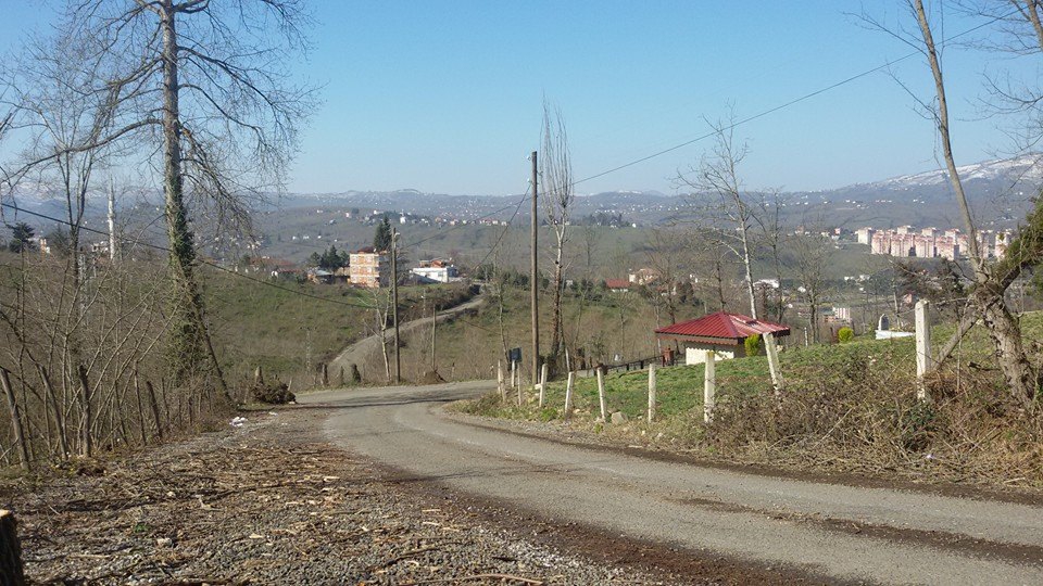 Altınordu Hatipli Köyü Resimleri 1