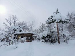 Altınordu Hatipli Köyü Resimleri 2