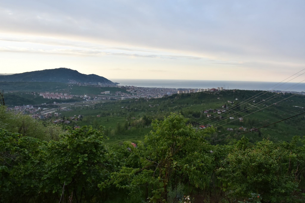 Altınordu Hatipli Köyü Resimleri 5