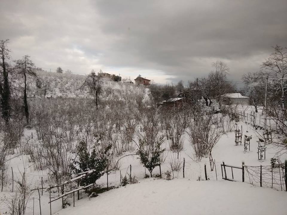 Altınordu Hatipli Köyü Resimleri 8