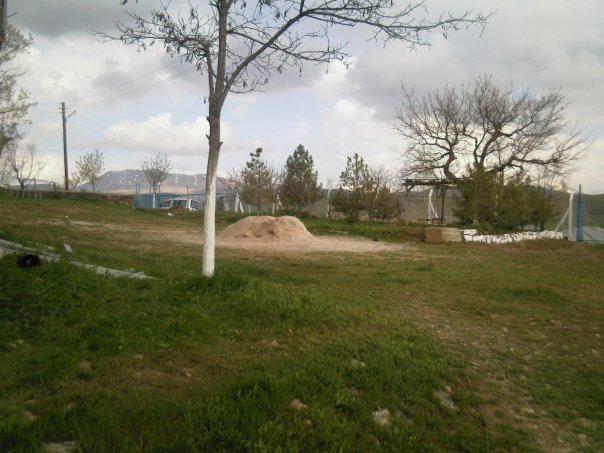 Adana Tufanbeyli Taşpınar Köyü Resimleri 21