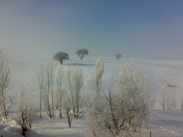 Adana Tufanbeyli Taşpınar Köyü Resimleri 39