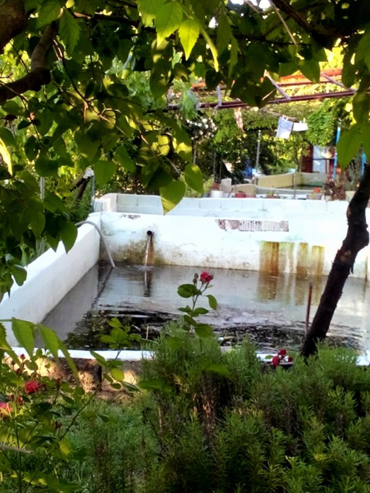 Tavas Pınarlık Köyü Resimleri 17