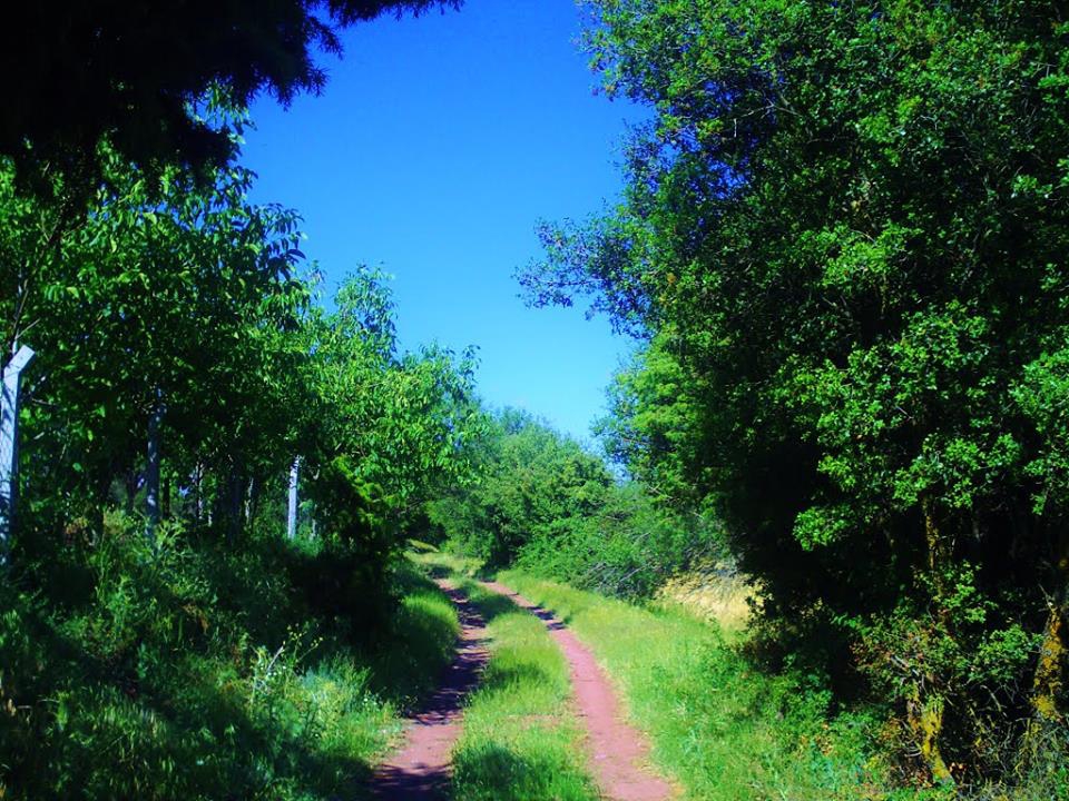 Tavas Pınarlık Köyü Resimleri 19