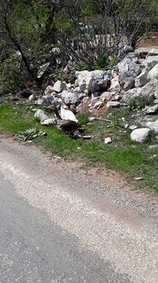 Tavas Pınarlık Köyü Resimleri 2