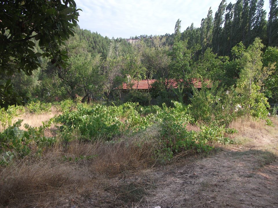 Tavas Pınarlık Köyü Resimleri 20