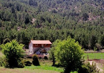 Tavas Pınarlık Köyü Resimleri 6