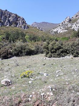 Tavas Pınarlık Köyü Resimleri 7